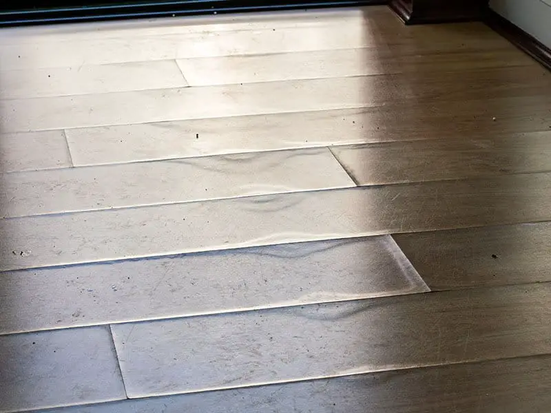 Swollen Laminate Floor