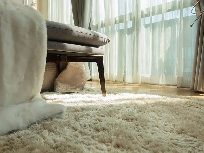 Guidance Of Wool Carpet Vs. Nylon Carpet Vs. Synthetic Carpet