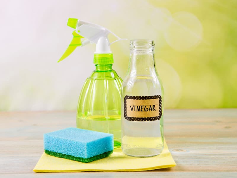 Vinegar And Liquid Detergent