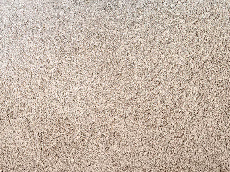 Wool Carpet Texture