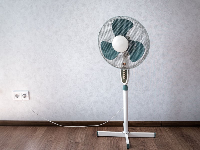 Using A Fan Can Help To Dry Your Floor Faster. 