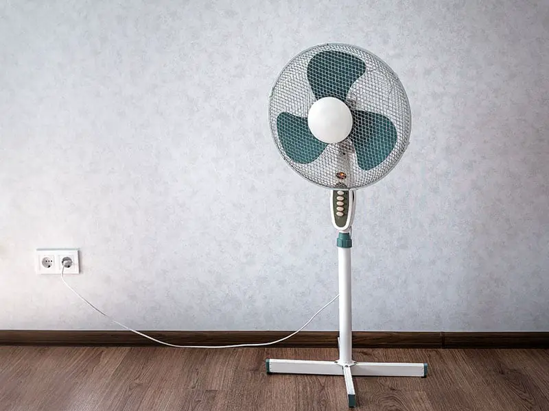 Using A Fan Can Help To Dry Your Floor Faster. 