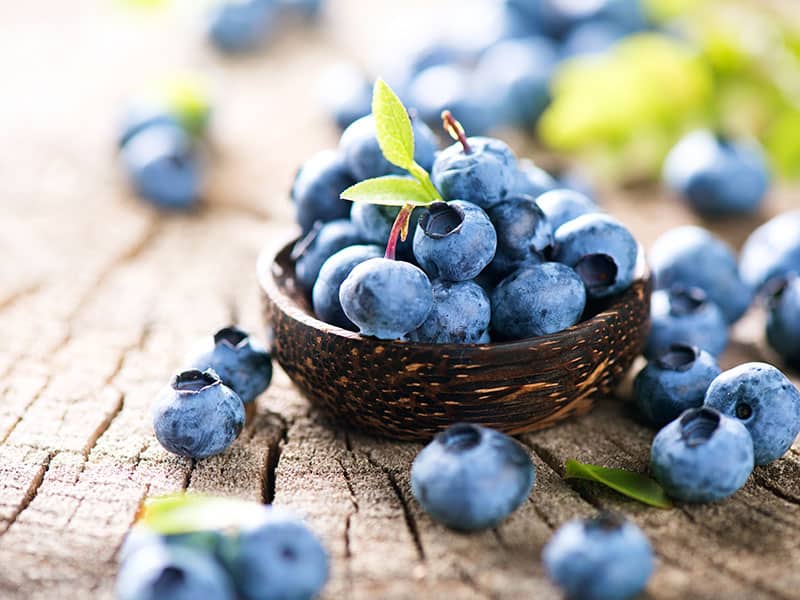Blueberries Are Great Of Vitamins