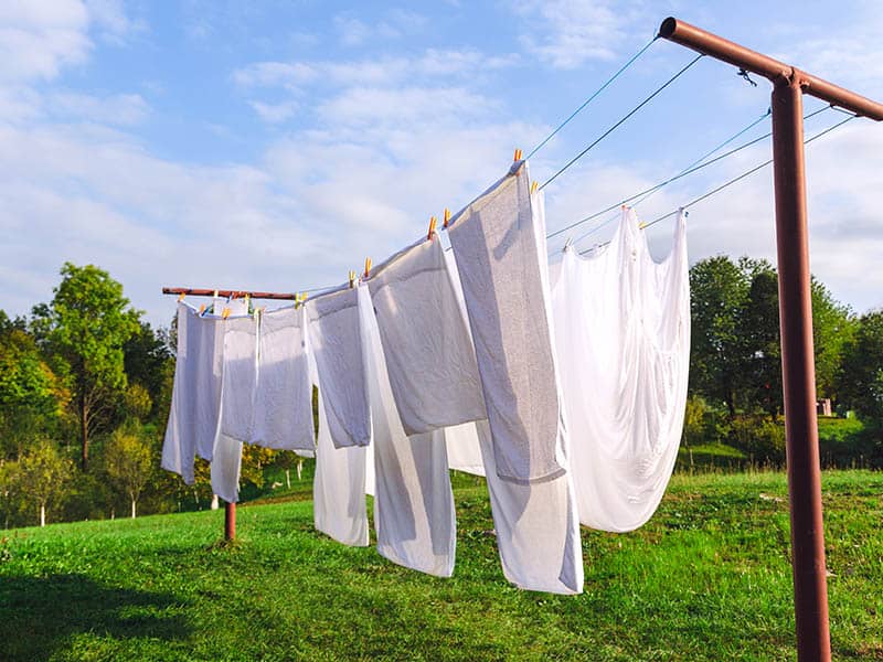 Dry The White Clothes In Sunny