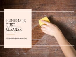 Homemade Dust Cleaner