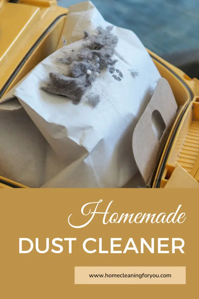 Homemade Dust Cleaner