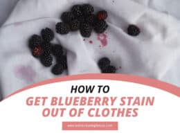 How To Get Blueberry Stain Out Of Clothes
