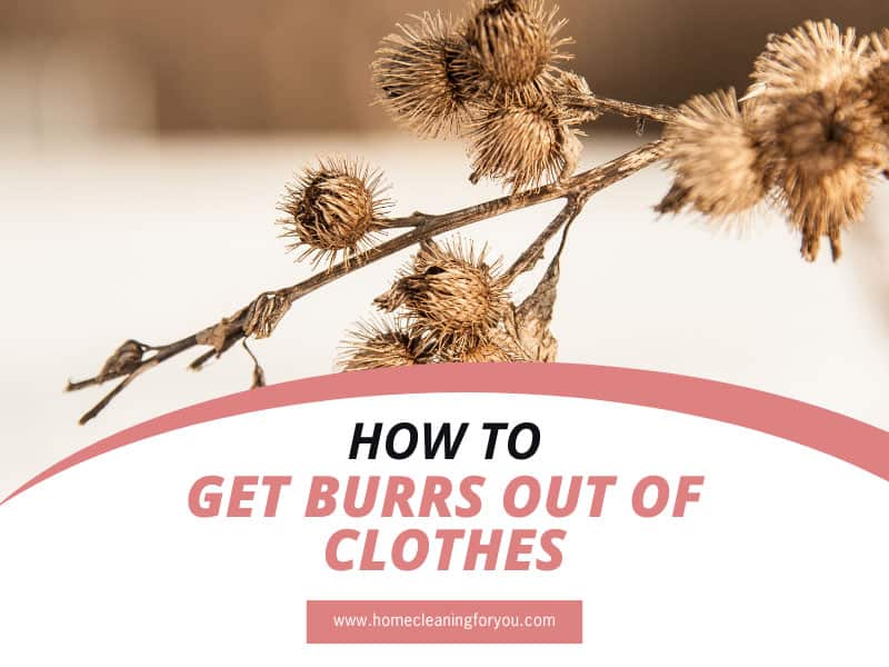 How To Get Burrs Out Of Clothes