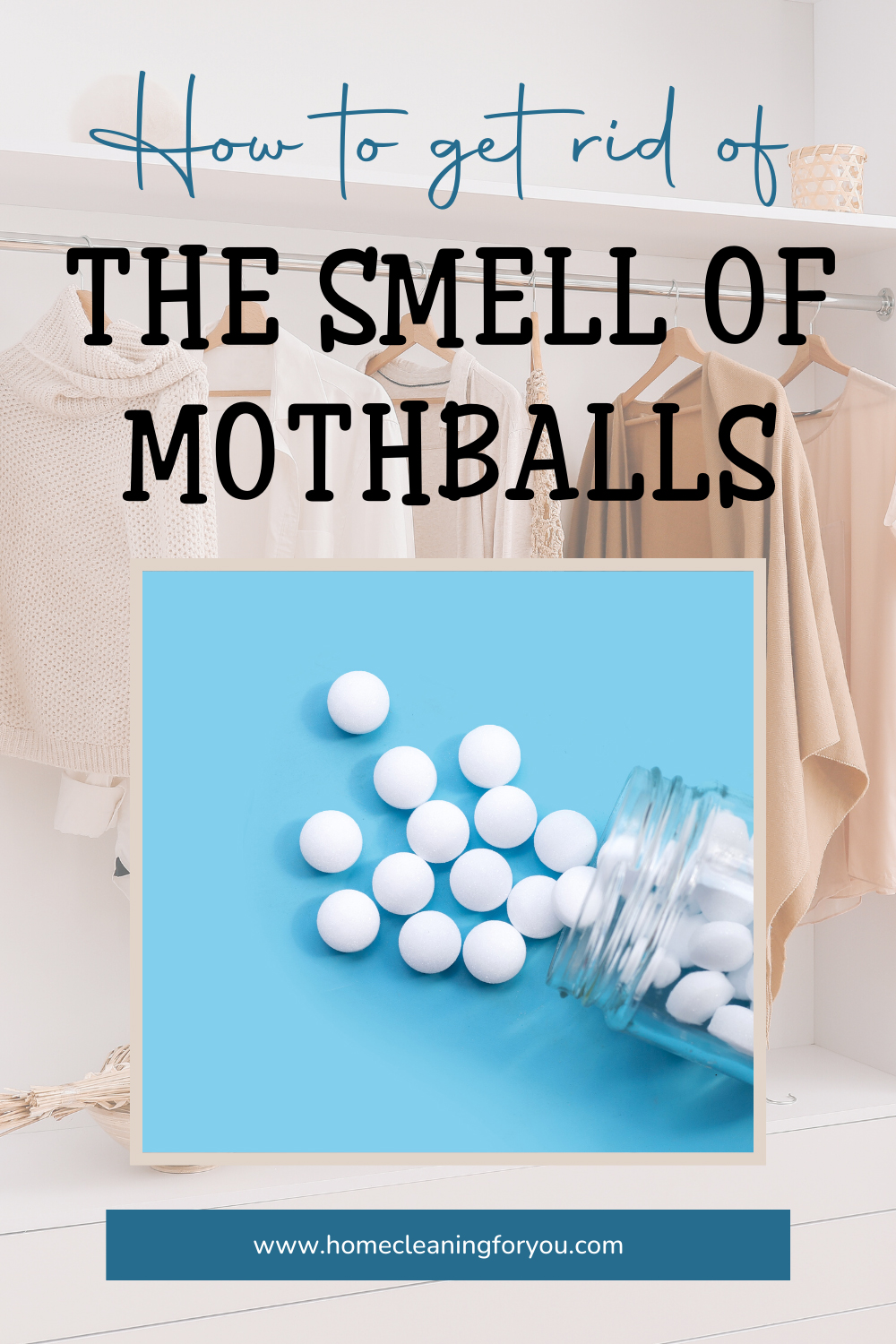 How To Get Rid Of The Smell Of Mothballs In A Nutshell 2024