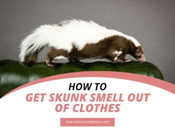 How To Get Skunk Smell Out Of Clothes