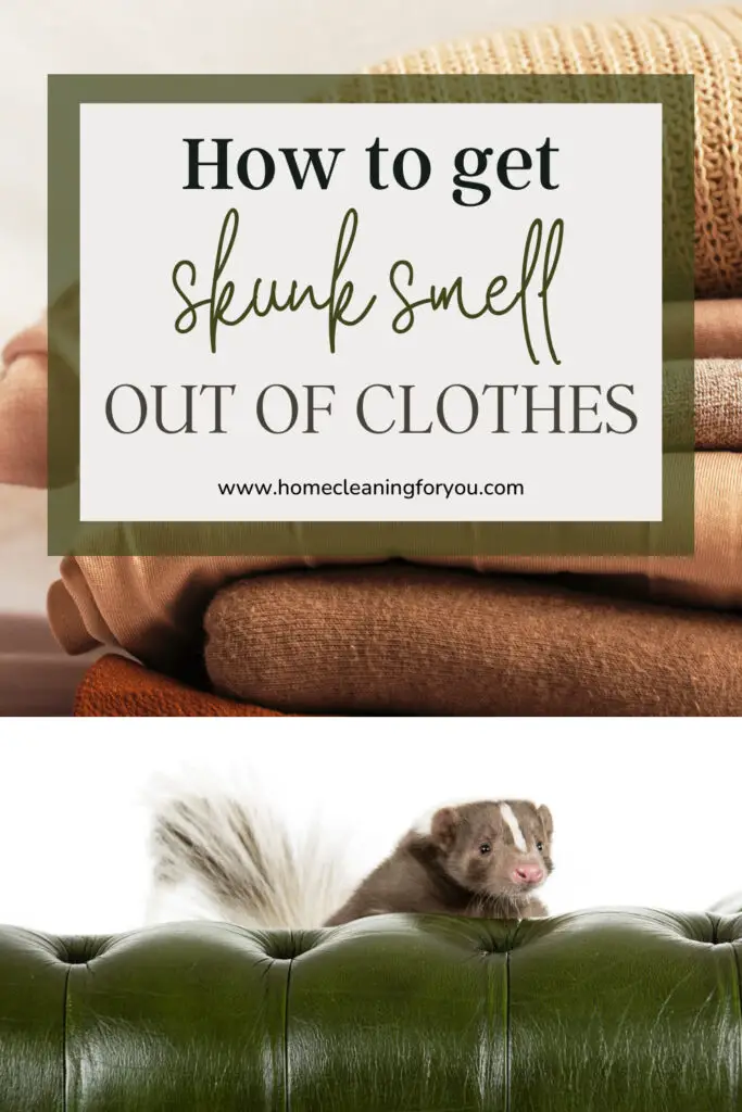 How To Get Skunk Smell Out Of Clothes