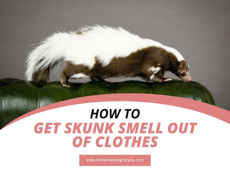 How To Get Skunk Smell Out Of Clothes