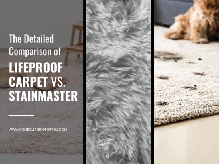 The Detailed Comparison of Lifeproof Carpet vs. Stainmaster