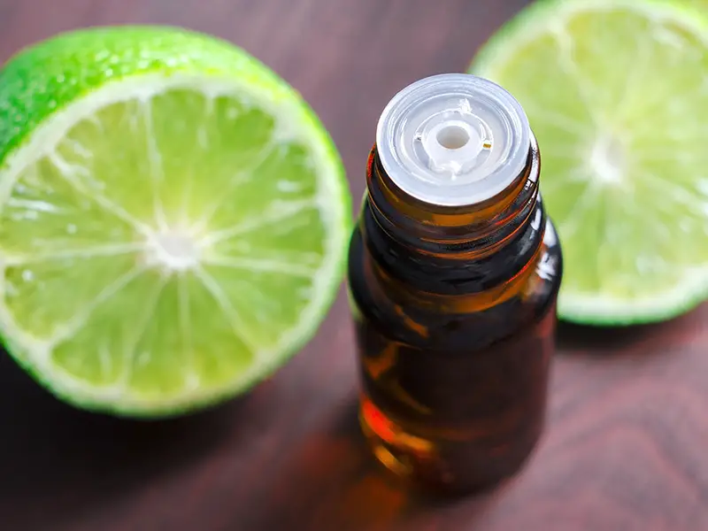 Lime Essential Oil