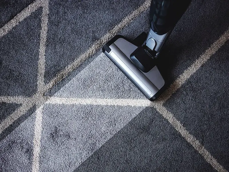 Steam Clean Area Rug