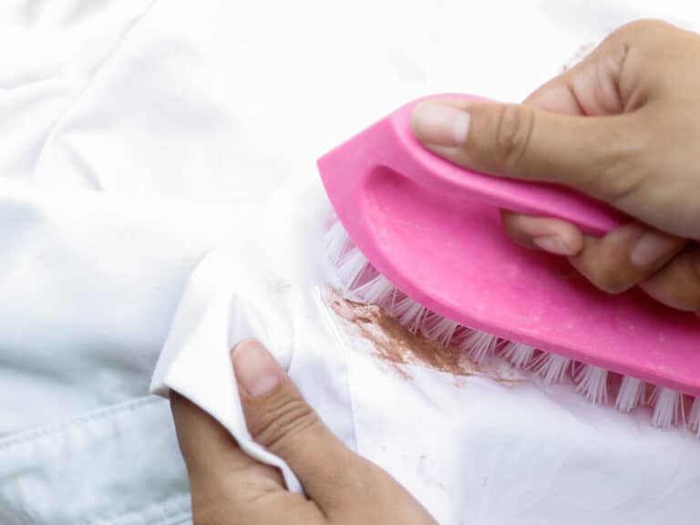 How To Get Blueberry Stain Out Of Clothes In No Time 2024