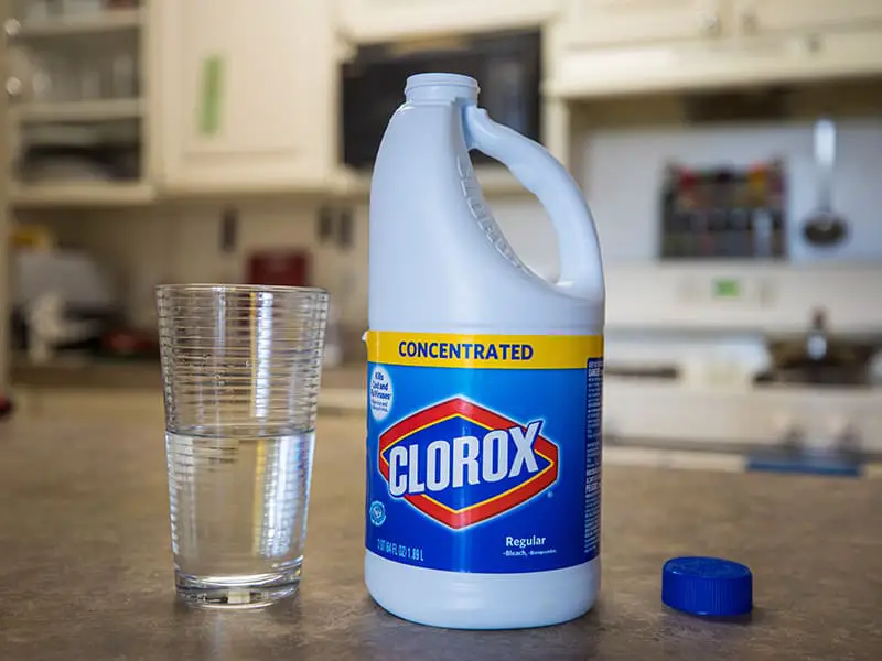 Using Clorox Treat The Stubborn