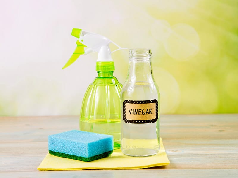 Vinegar Contains Acetic Acid