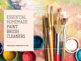 Homemade Paint Brush Cleaners