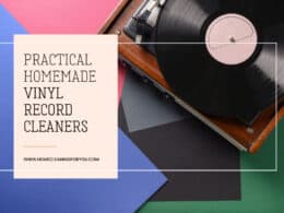 Homemade Vinyl Record Cleaners