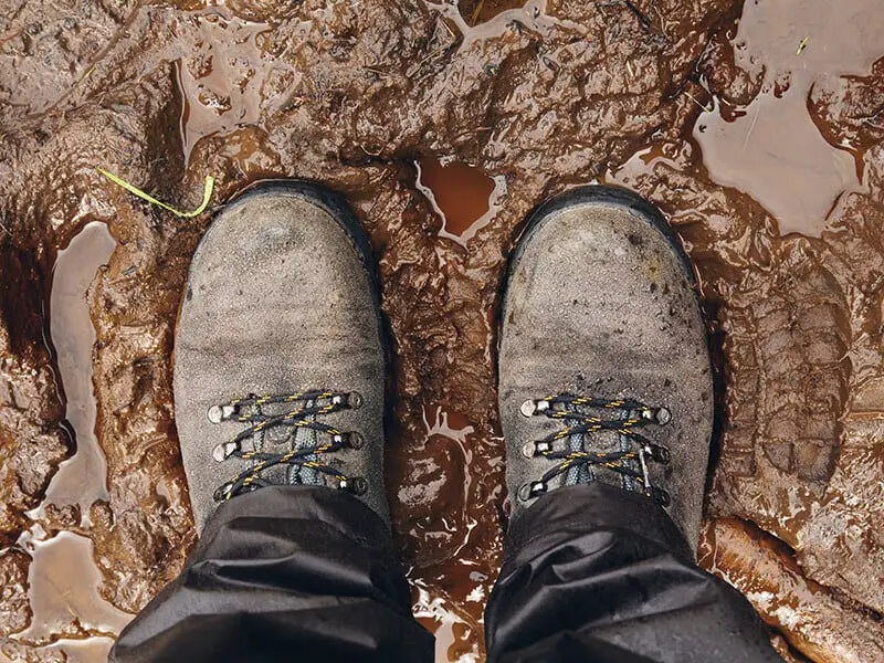 Muddy Shoes