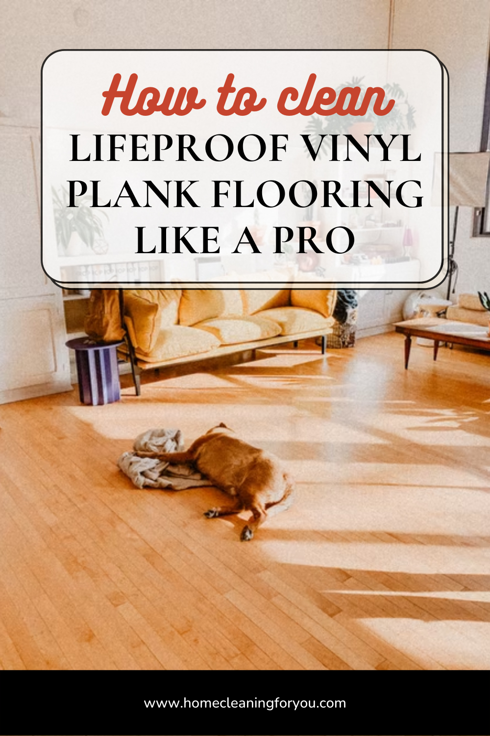 How To Clean LifeProof Vinyl Plank Flooring Like A Pro 2024