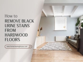 Remove Black Urine Stains From Hardwood Floors
