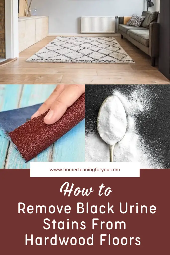 Remove Black Urine Stains From Hardwood Floors