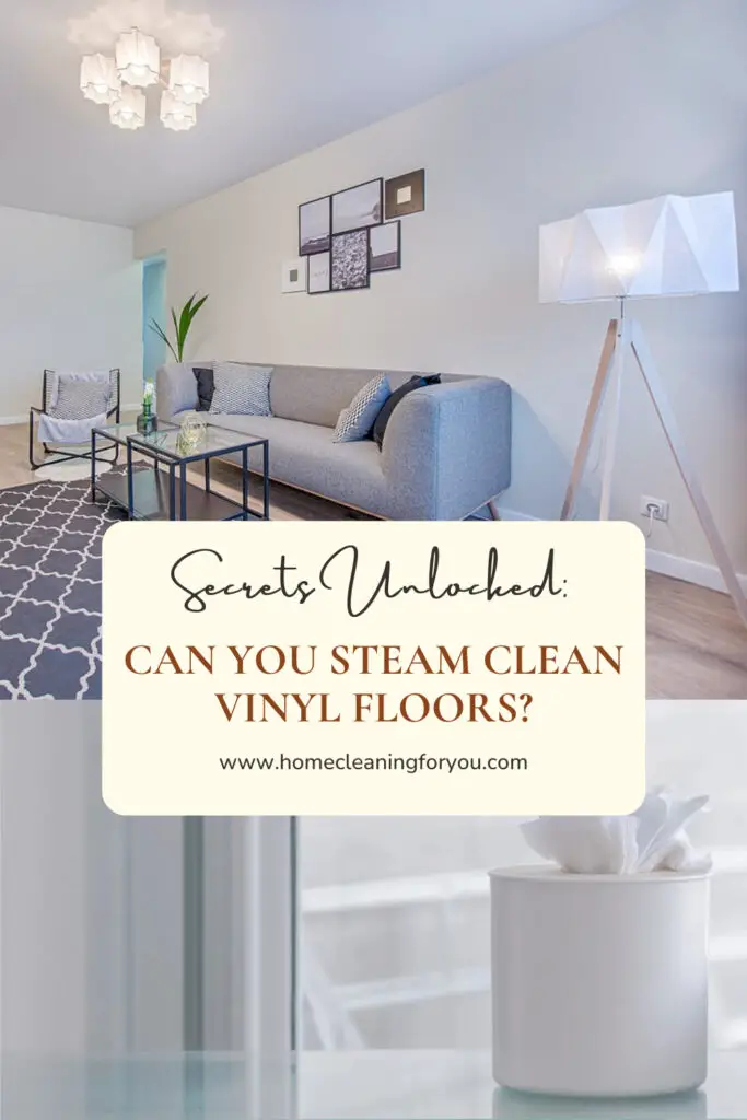 Can You Steam Clean Vinyl Floors