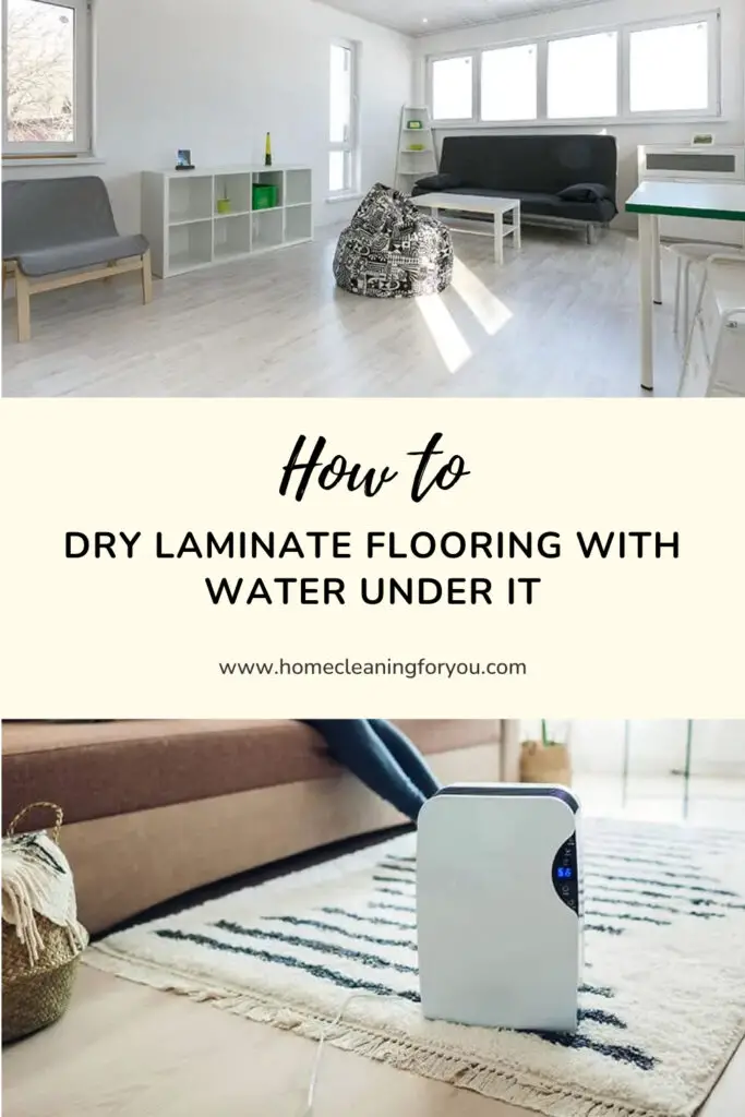 How To Dry Laminate Flooring With Water Under It