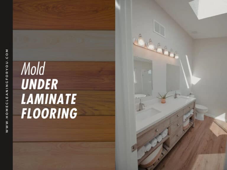 Mold Under Laminate Flooring