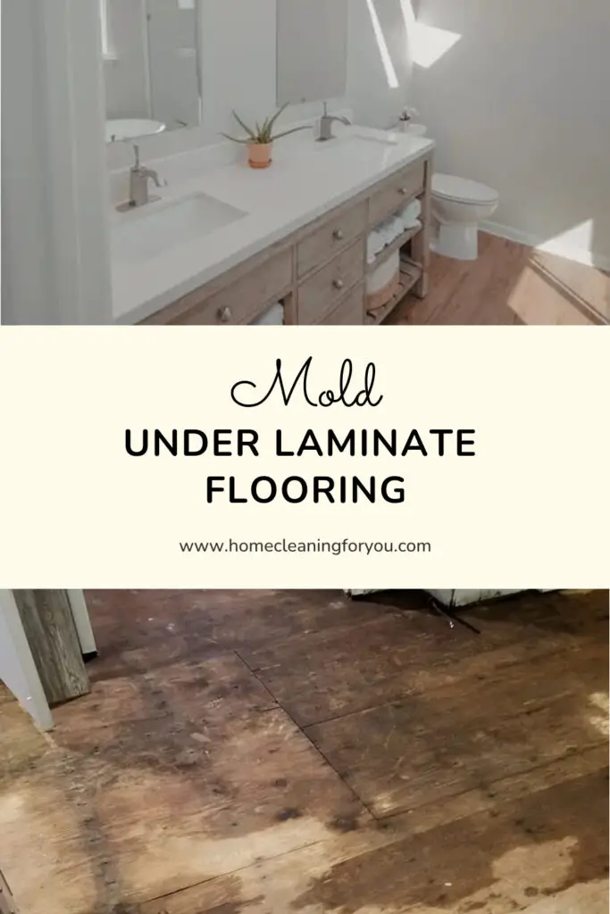 Mold Under Laminate Flooring